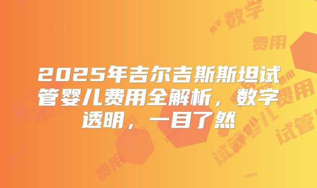 2025年吉尔吉斯斯坦试管婴儿费用全解析，数字透明，一目了然
