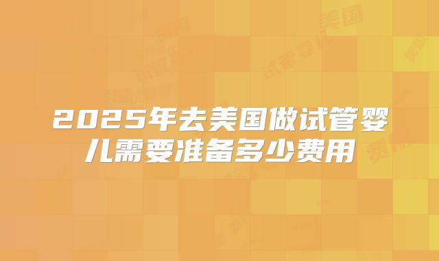 2025年去美国做试管婴儿需要准备多少费用