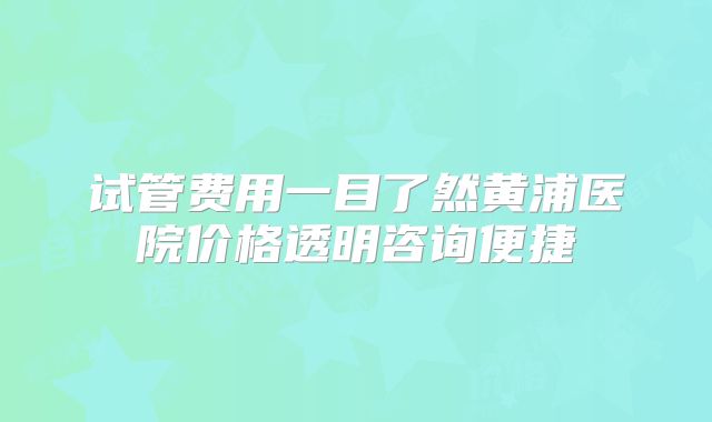 试管费用一目了然黄浦医院价格透明咨询便捷