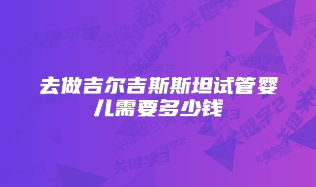 去做吉尔吉斯斯坦试管婴儿需要多少钱