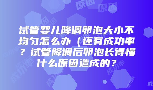 试管婴儿降调卵泡大小不均匀怎么办（还有成功率？试管降调后卵泡长得慢什么原因造成的？