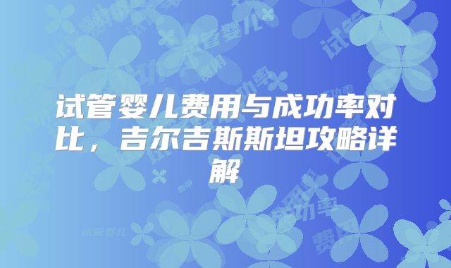 试管婴儿费用与成功率对比，吉尔吉斯斯坦攻略详解