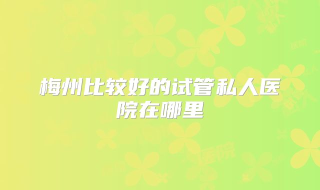 梅州比较好的试管私人医院在哪里