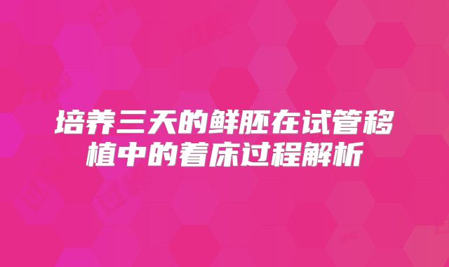 培养三天的鲜胚在试管移植中的着床过程解析