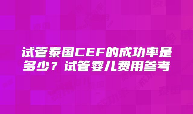 试管泰国CEF的成功率是多少？试管婴儿费用参考