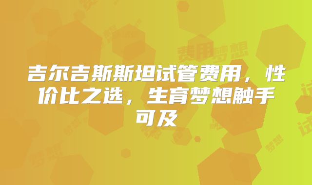 吉尔吉斯斯坦试管费用，性价比之选，生育梦想触手可及