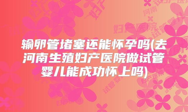 输卵管堵塞还能怀孕吗(去河南生殖妇产医院做试管婴儿能成功怀上吗)