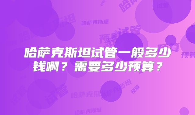 哈萨克斯坦试管一般多少钱啊?需要多少预算?