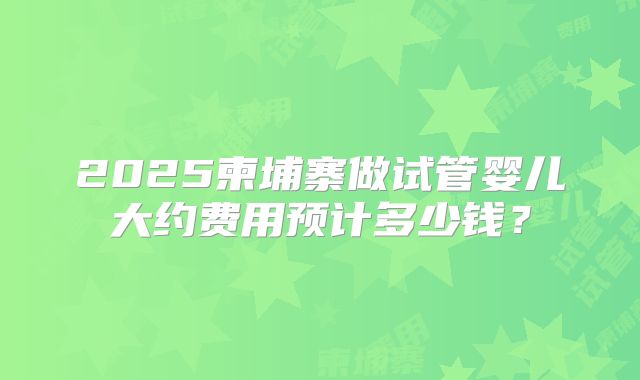 2025柬埔寨做试管婴儿大约费用预计多少钱？