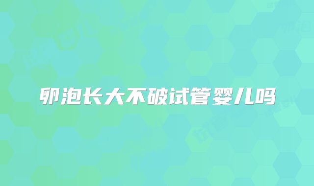 卵泡长大不破试管婴儿吗
