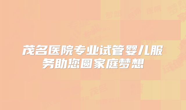 茂名医院专业试管婴儿服务助您圆家庭梦想
