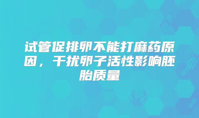 试管促排卵不能打麻药原因，干扰卵子活性影响胚胎质量
