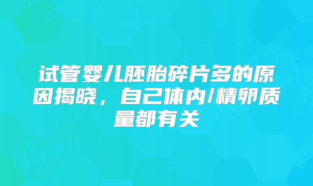 试管婴儿胚胎碎片多的原因揭晓，自己体内/精卵质量都有关