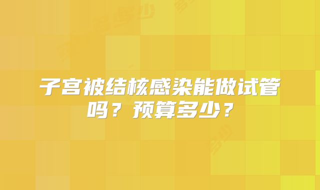 子宫被结核感染能做试管吗？预算多少？