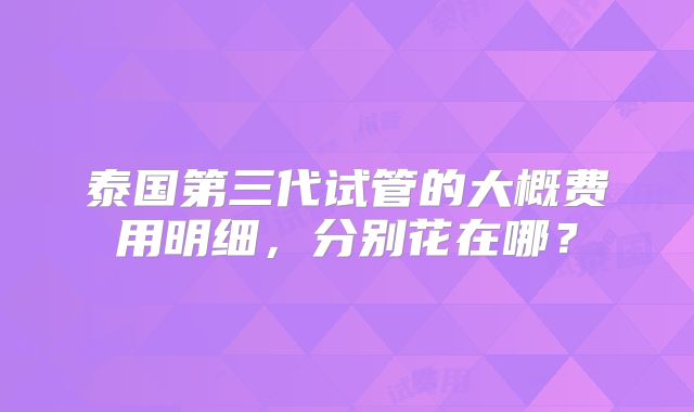 泰国第三代试管的大概费用明细，分别花在哪？