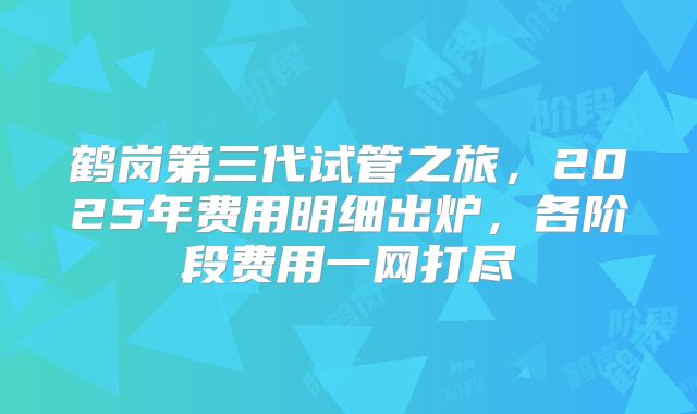 鹤岗第三代试管之旅，2025年费用明细出炉，各阶段费用一网打尽