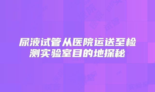 尿液试管从医院运送至检测实验室目的地探秘