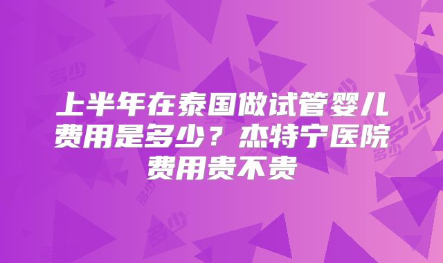 上半年在泰国做试管婴儿费用是多少？杰特宁医院费用贵不贵