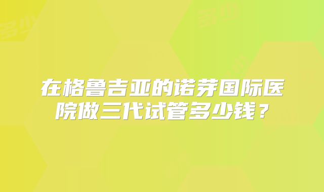 在格鲁吉亚的诺芽国际医院做三代试管多少钱？