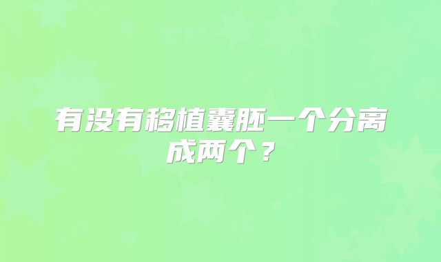 有没有移植囊胚一个分离成两个？