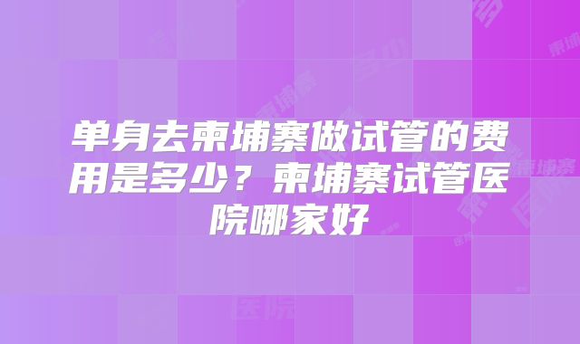 单身去柬埔寨做试管的费用是多少?柬埔寨试管医院哪家好