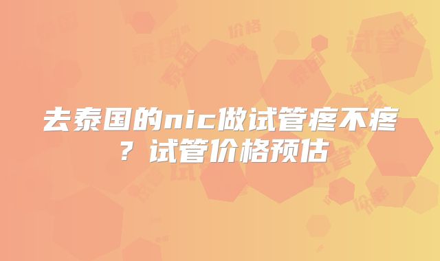 去泰国的nic做试管疼不疼？试管价格预估