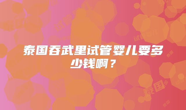 泰国吞武里试管婴儿要多少钱啊?