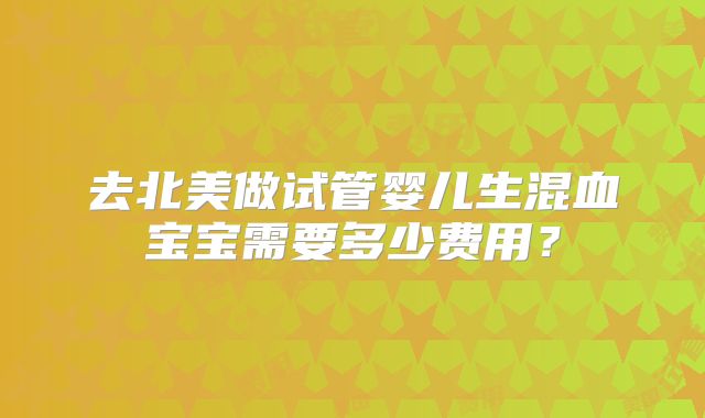 去北美做试管婴儿生混血宝宝需要多少费用?