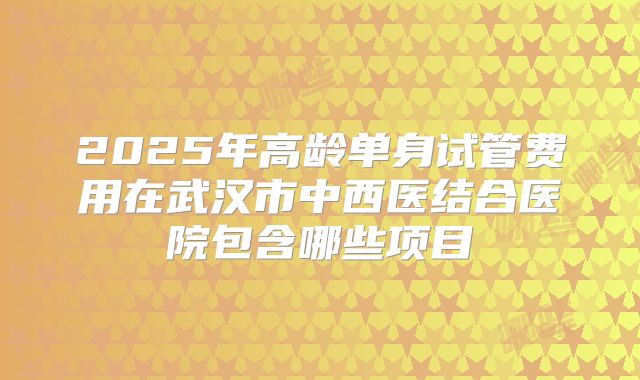 2025年高龄单身试管费用在武汉市中西医结合医院包含哪些项目