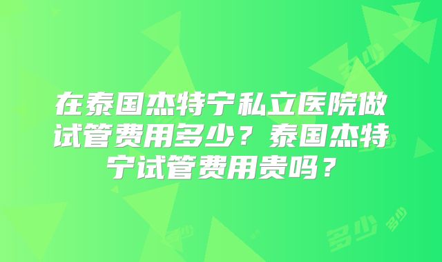 在泰国杰特宁私立医院做试管费用多少？泰国杰特宁试管费用贵吗？