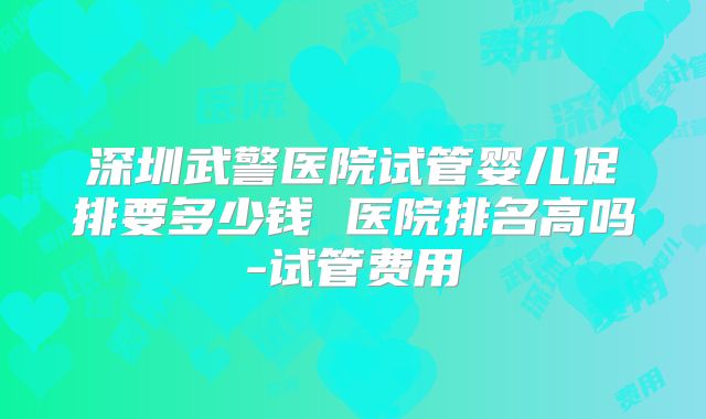 深圳武警医院试管婴儿促排要多少钱 医院排名高吗-试管费用
