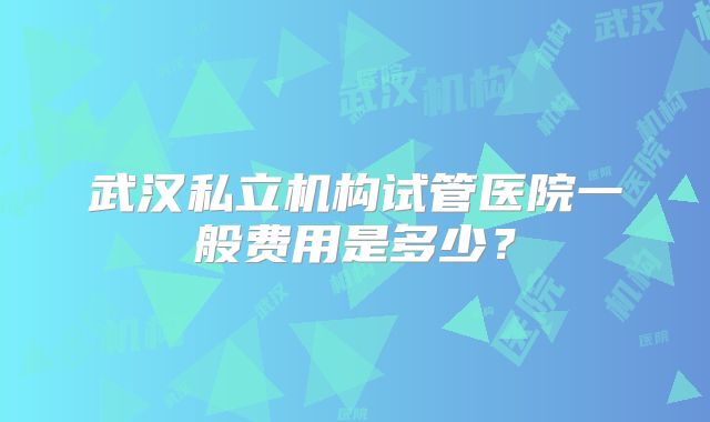武汉私立机构试管医院一般费用是多少？