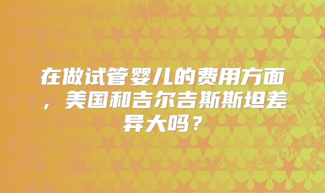 在做试管婴儿的费用方面，美国和吉尔吉斯斯坦差异大吗？