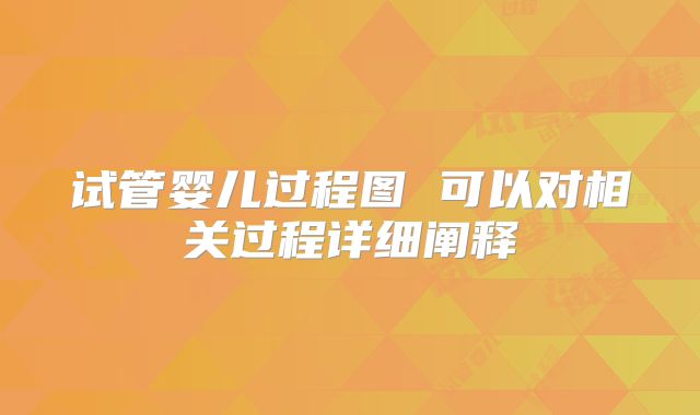 试管婴儿过程图 可以对相关过程详细阐释