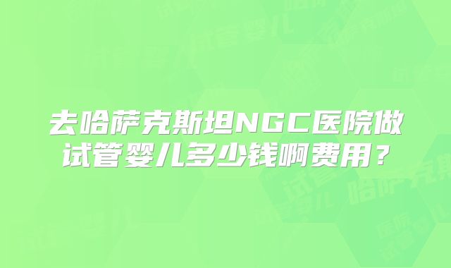 去哈萨克斯坦NGC医院做试管婴儿多少钱啊费用？