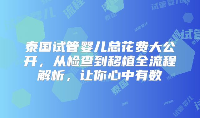 泰国试管婴儿总花费大公开，从检查到移植全流程解析，让你心中有数