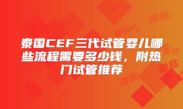 泰国CEF三代试管婴儿哪些流程需要多少钱，附热门试管推荐