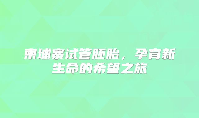 柬埔寨试管胚胎，孕育新生命的希望之旅
