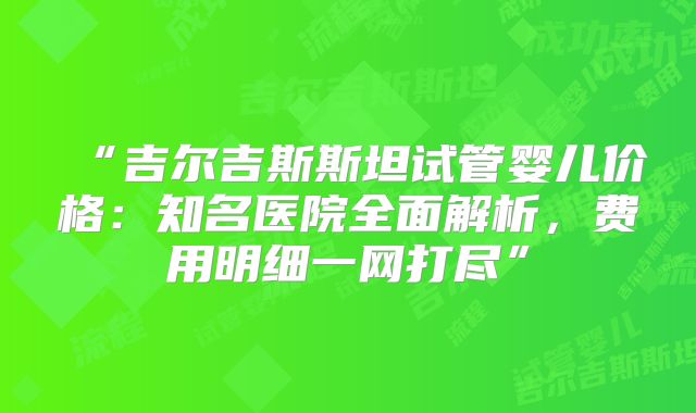 “吉尔吉斯斯坦试管婴儿价格：知名医院全面解析，费用明细一网打尽”