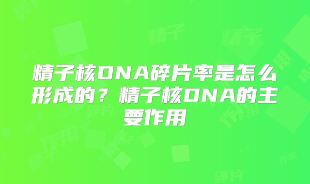 精子核DNA碎片率是怎么形成的？精子核DNA的主要作用