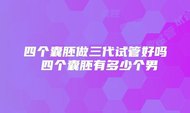 四个囊胚做三代试管好吗 四个囊胚有多少个男