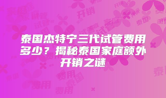 泰国杰特宁三代试管费用多少？揭秘泰国家庭额外开销之谜
