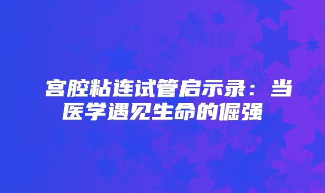 宫腔粘连试管启示录:当医学遇见生命的倔强