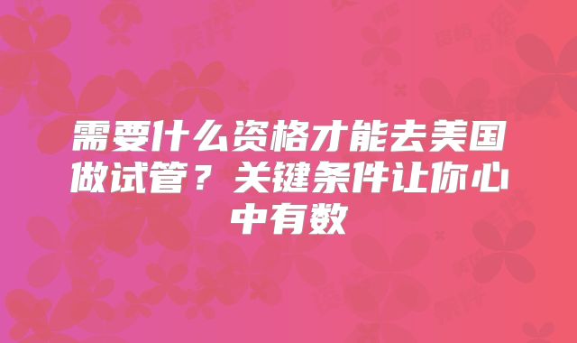 需要什么资格才能去美国做试管？关键条件让你心中有数