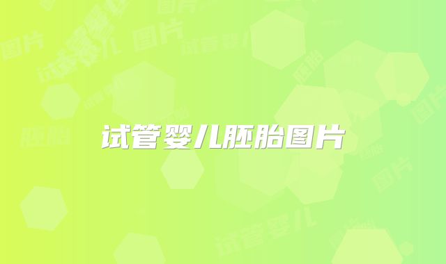 试管婴儿胚胎图片