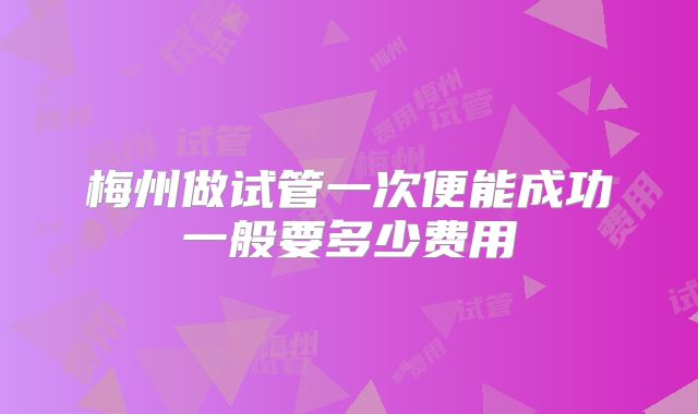 梅州做试管一次便能成功一般要多少费用