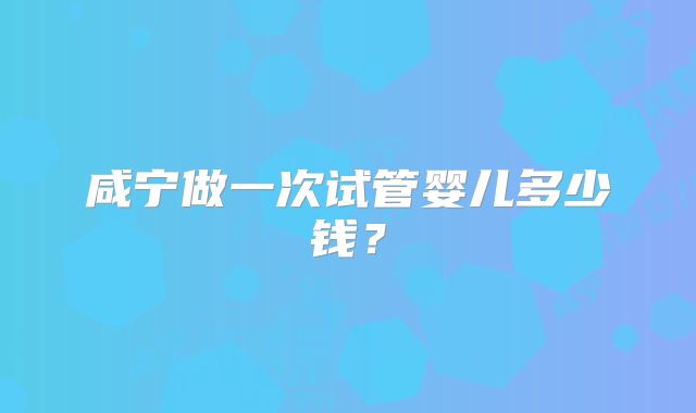 咸宁做一次试管婴儿多少钱？