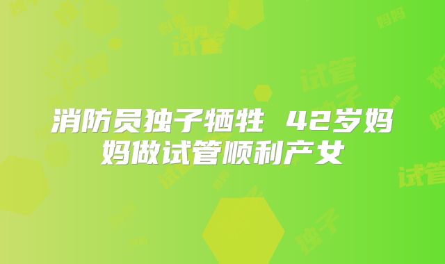 消防员独子牺牲 42岁妈妈做试管顺利产女