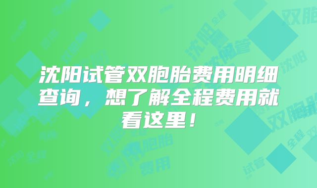 沈阳试管双胞胎费用明细查询，想了解全程费用就看这里！