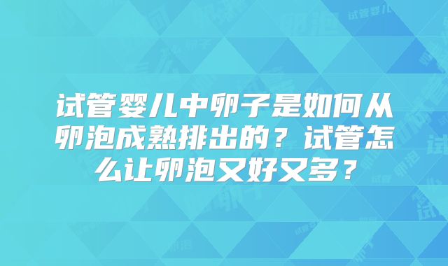 试管婴儿中卵子是如何从卵泡成熟排出的?试管怎么让卵泡又好又多?